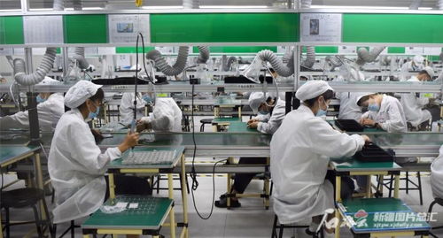 沿著高速看新疆 小手機走向大市場的技術(shù)開發(fā)之路